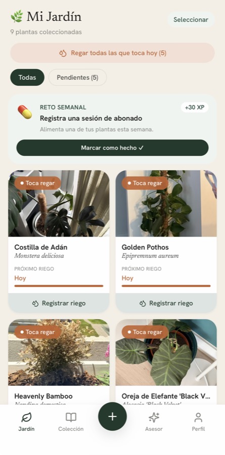 Folia — your garden with real plant photos
